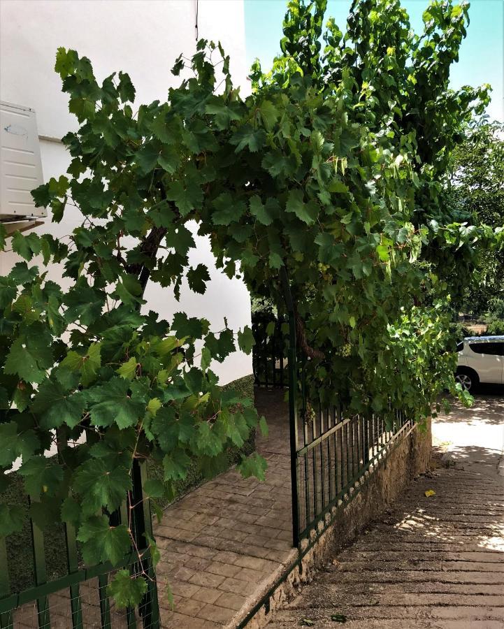קוטו ריוס Alojamientos Loma De Mariangela מראה חיצוני תמונה